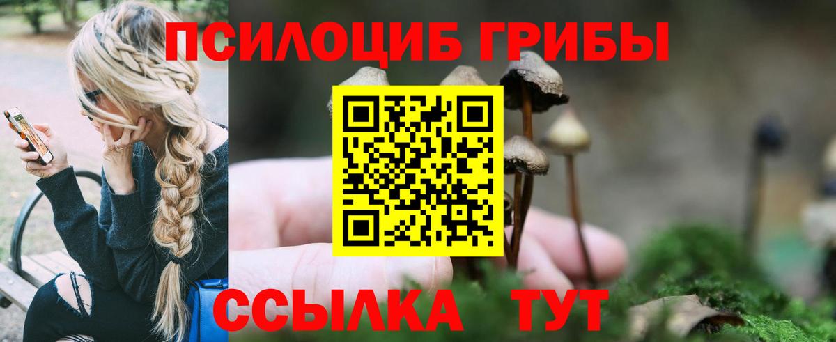 Псилоцибиновые грибы прущие грибы  Галлюциногенные грибы мухоморы  Вход с VPN  Дмитров 